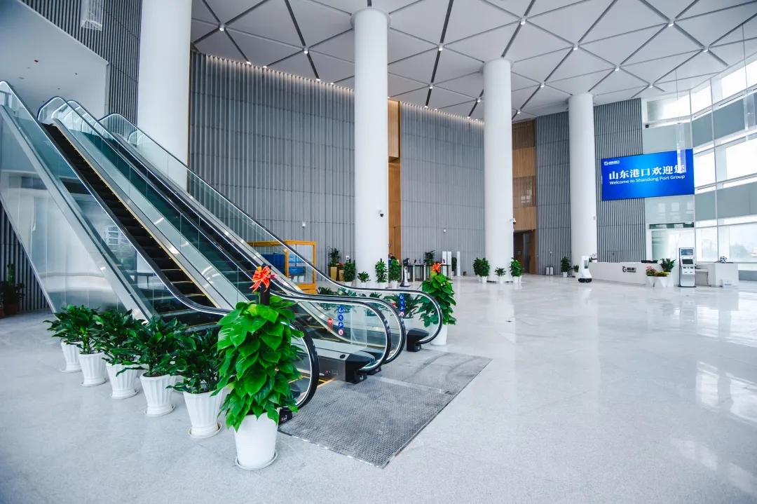 1629334857997477.jpg 3.webp.jpg