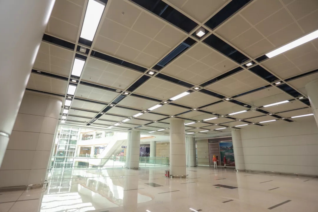 1629337248895528.jpg 5.webp.jpg