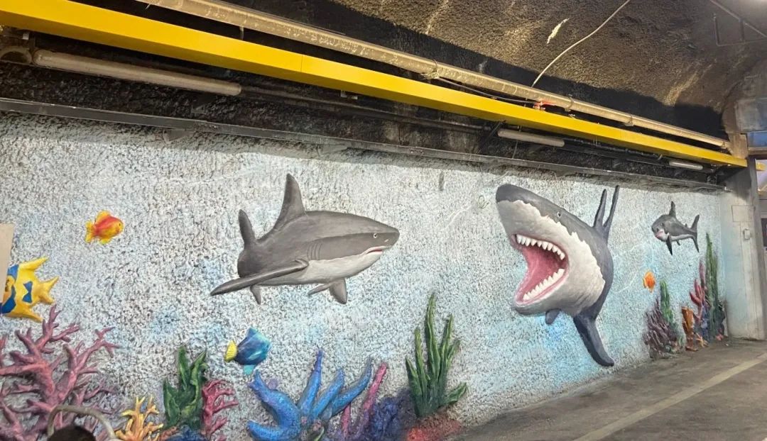 1667457085573689.jpg 640.jpg